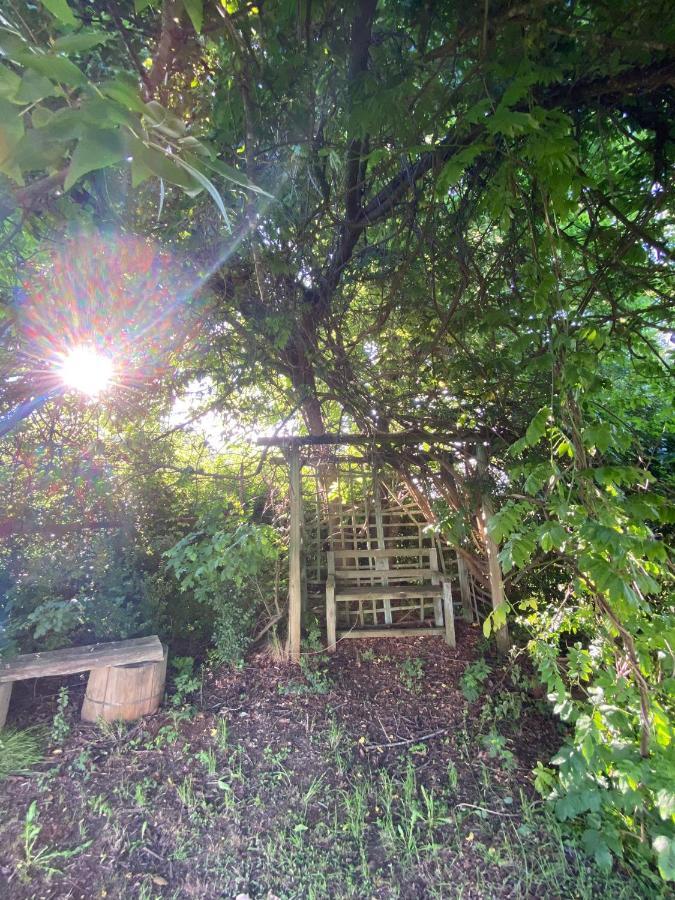 Under The Oak Villa อันเดอร์เบิร์ก ภายนอก รูปภาพ